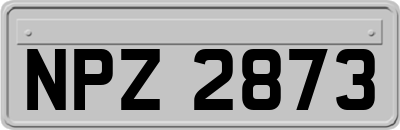 NPZ2873