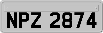 NPZ2874