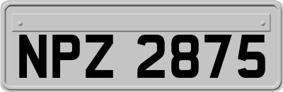 NPZ2875