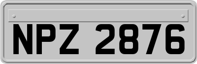 NPZ2876