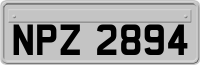 NPZ2894