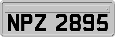 NPZ2895