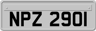 NPZ2901