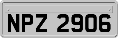 NPZ2906