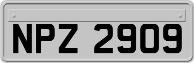 NPZ2909