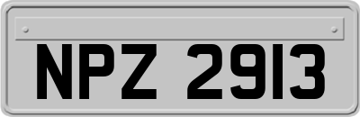 NPZ2913