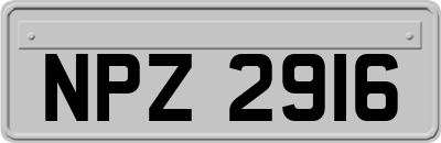 NPZ2916