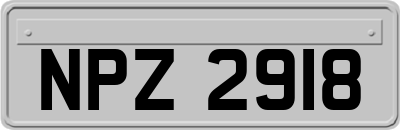 NPZ2918