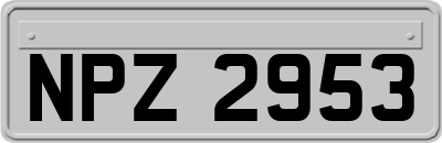 NPZ2953