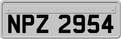 NPZ2954