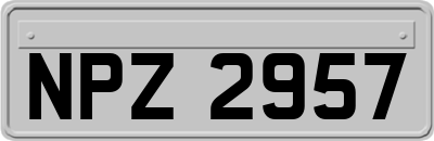 NPZ2957