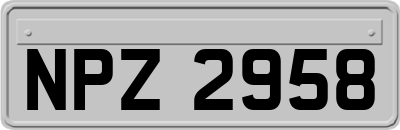 NPZ2958