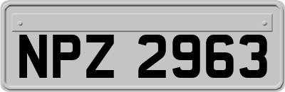 NPZ2963