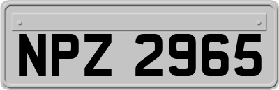 NPZ2965