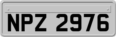 NPZ2976