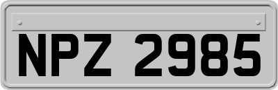 NPZ2985