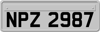 NPZ2987