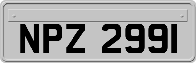 NPZ2991