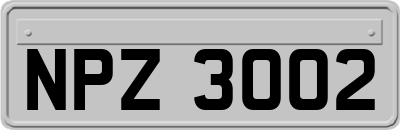 NPZ3002