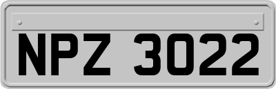 NPZ3022