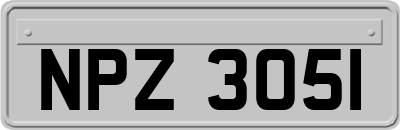 NPZ3051