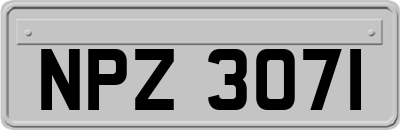 NPZ3071