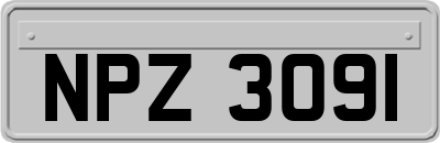 NPZ3091