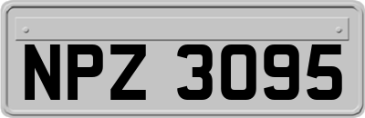 NPZ3095