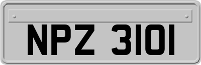 NPZ3101