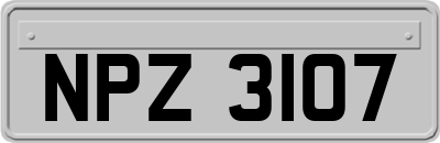 NPZ3107