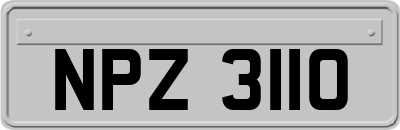 NPZ3110