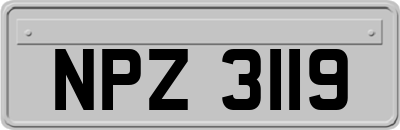 NPZ3119