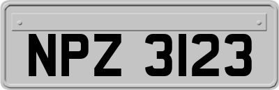 NPZ3123