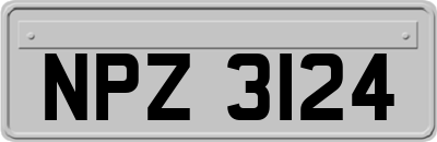 NPZ3124