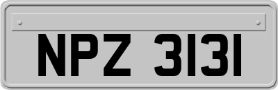 NPZ3131