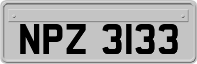 NPZ3133