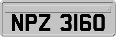 NPZ3160