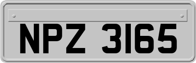NPZ3165