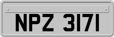 NPZ3171