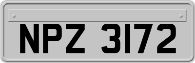 NPZ3172