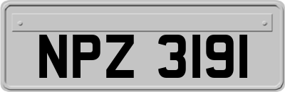 NPZ3191