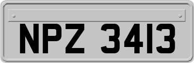 NPZ3413