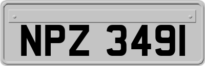 NPZ3491