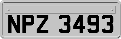 NPZ3493