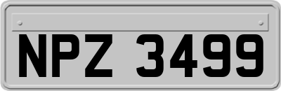 NPZ3499