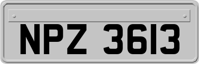 NPZ3613
