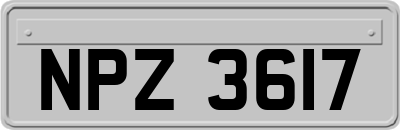 NPZ3617