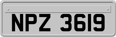 NPZ3619