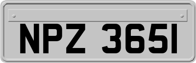 NPZ3651