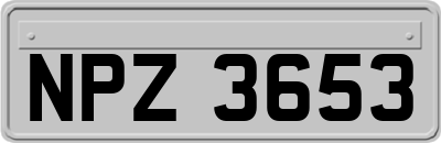 NPZ3653